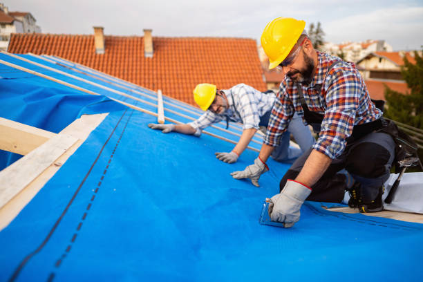 Best Roof Gutter Cleaning  in Cologne, MN
