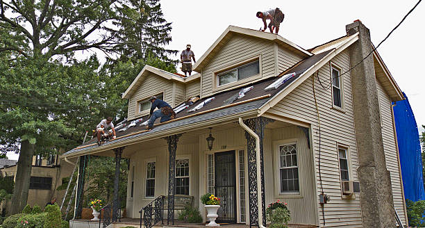 Best Storm Damage Roof Repair  in Cologne, MN